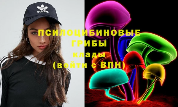 крисы Арсеньев